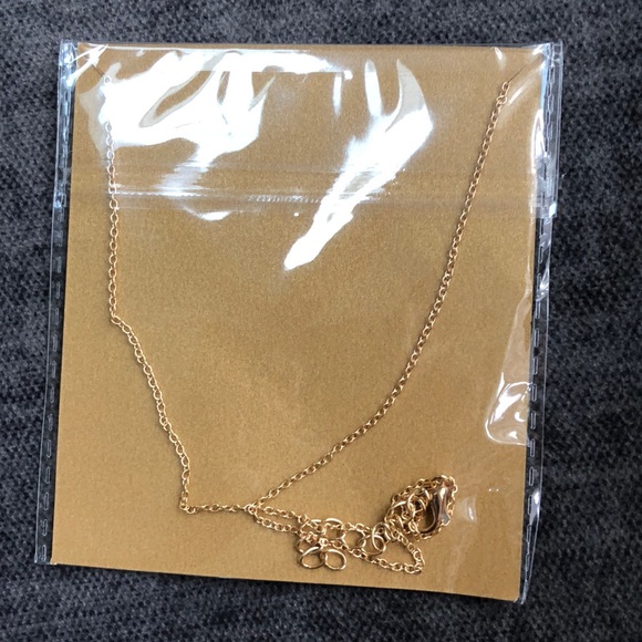 Balance 14k gold dipped necklace - Picture 2 of 2